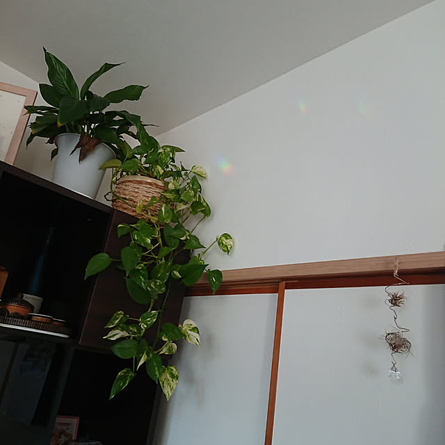 akiさんの実例写真