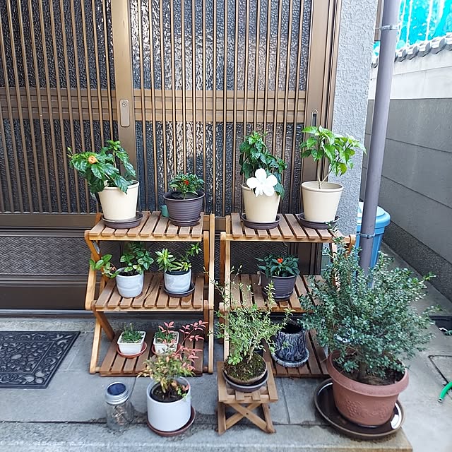 achan4124さんの実例写真