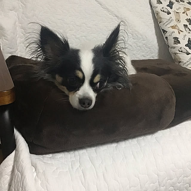 sakuさんの実例写真