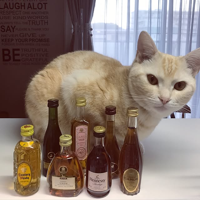 hiyupan88さんの実例写真