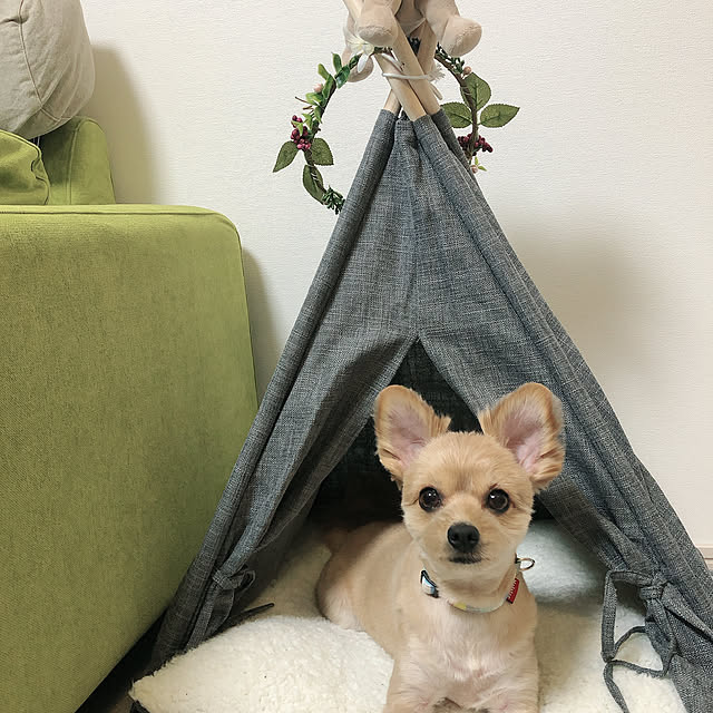 cocoさんの実例写真