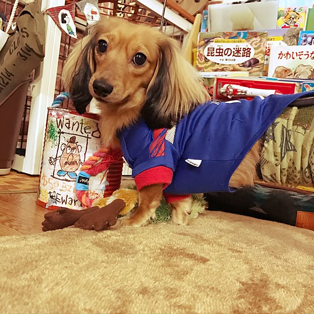 omemu.f.dさんの実例写真