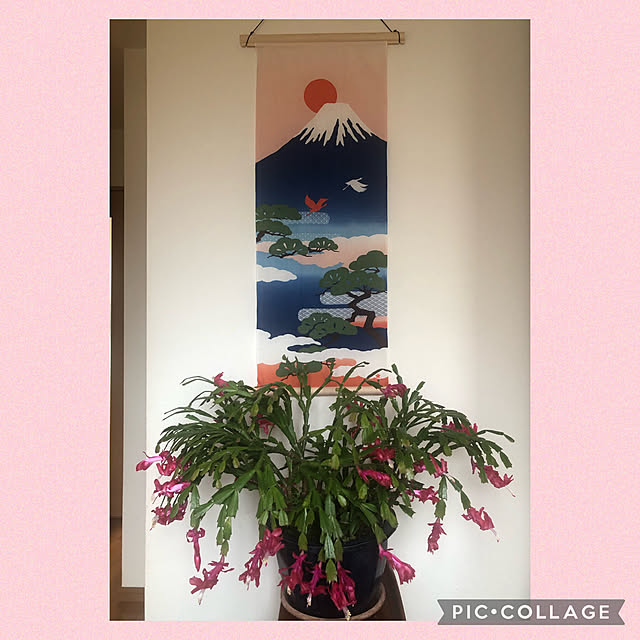 fumikoiさんの実例写真
