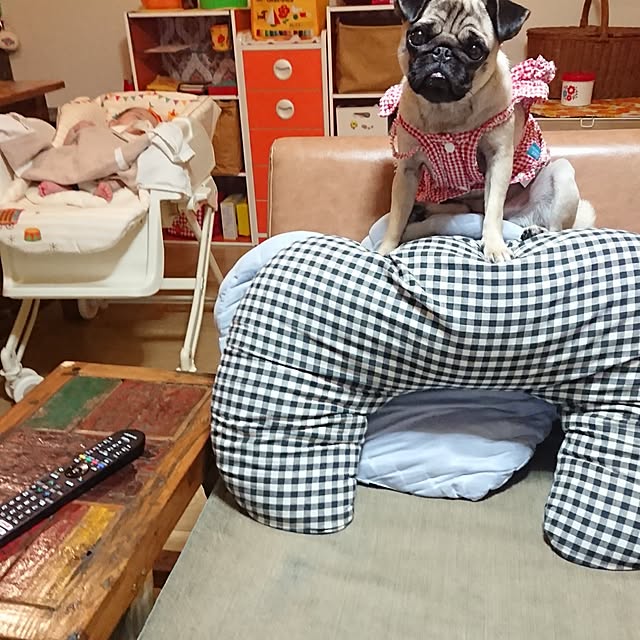 powさんの実例写真
