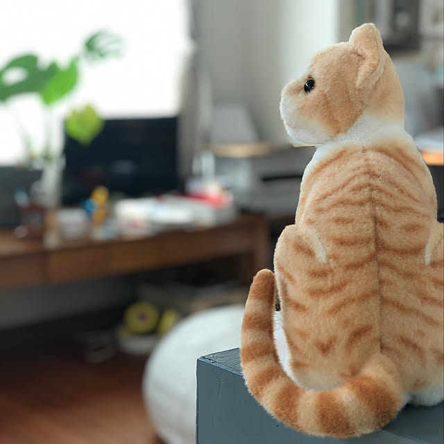 h.s.home.yさんの実例写真