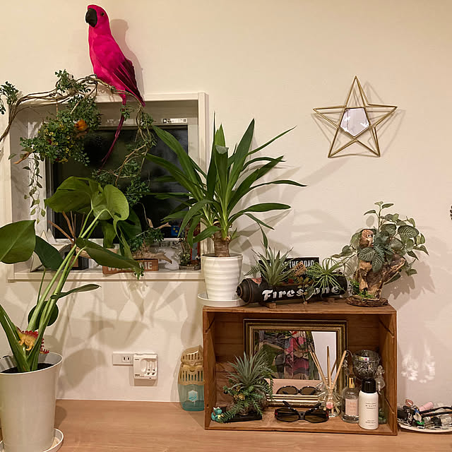 Piccoro26さんの部屋