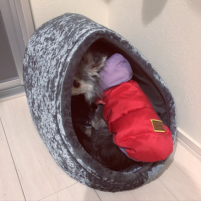 Marieさんの実例写真