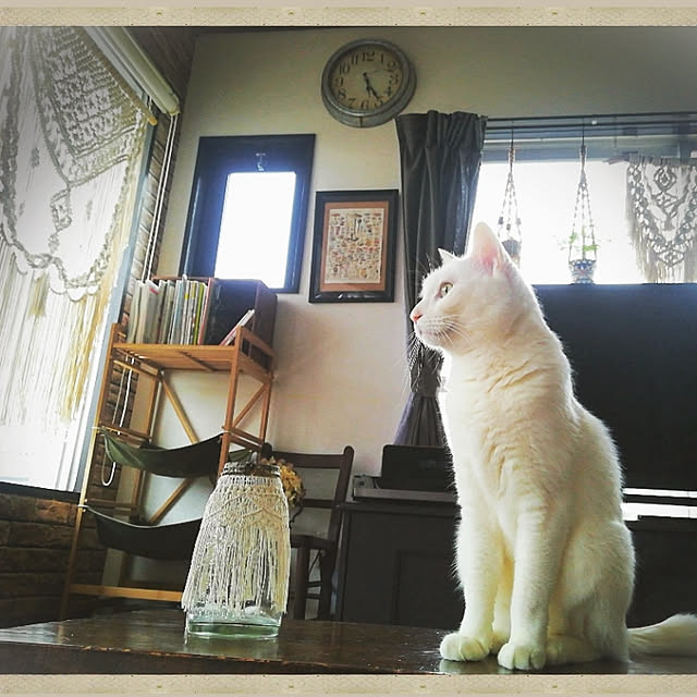 Lilyさんの実例写真