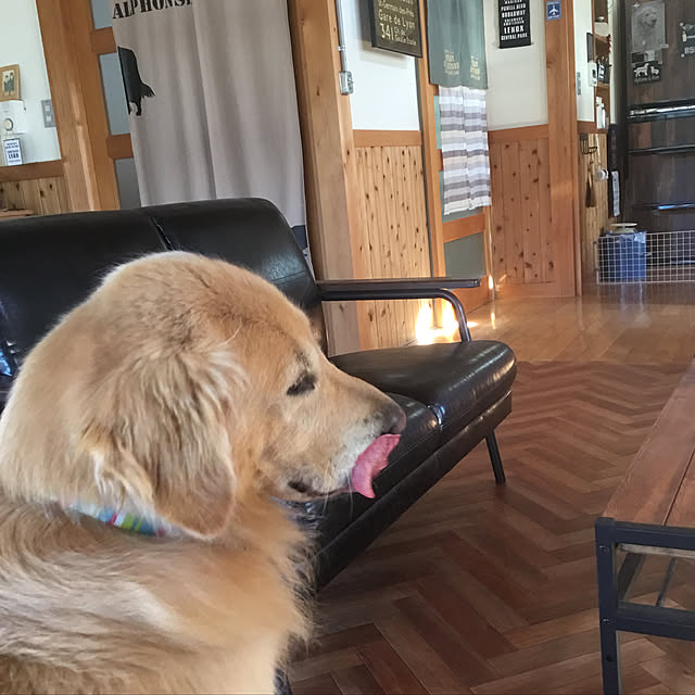328さんの実例写真