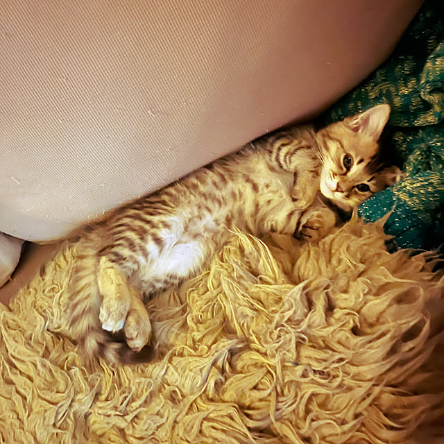 Mさんの実例写真
