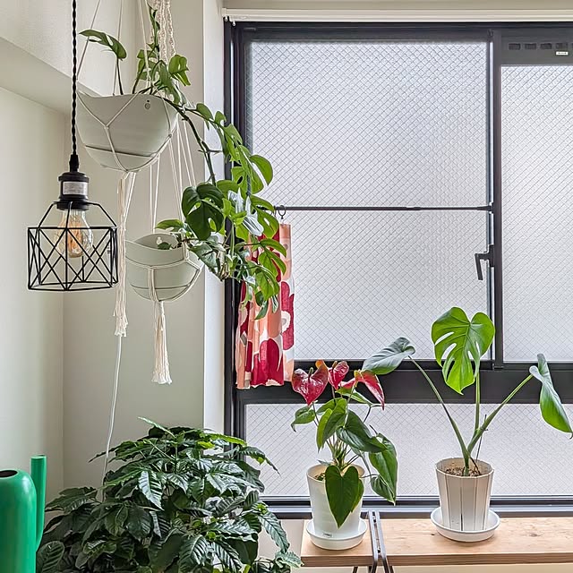 kolo92さんの部屋