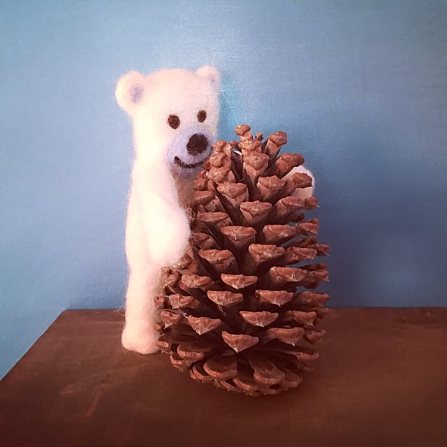 Shinobuさんの実例写真