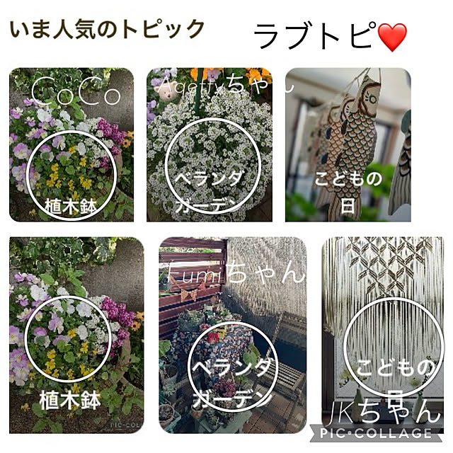 CoCo0617さんの実例写真
