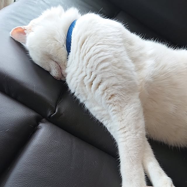 NOAHさんの部屋