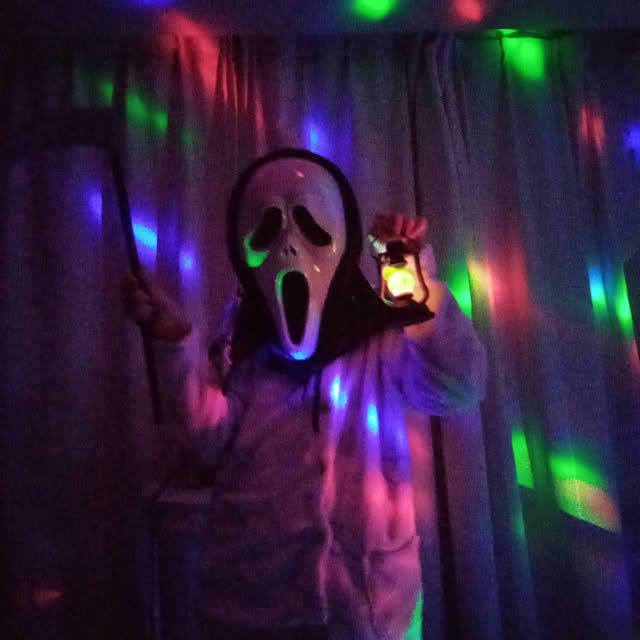 auroraさんの実例写真