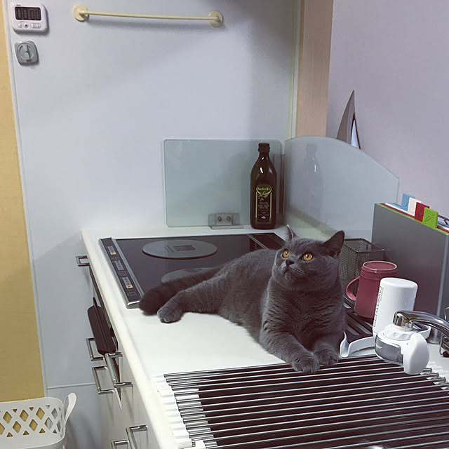 kittyさんの実例写真