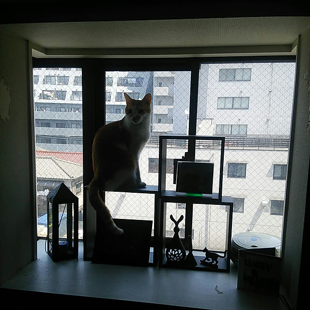 noguchiken0102さんの実例写真