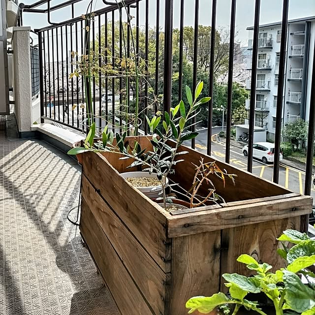 mi-saさんの部屋