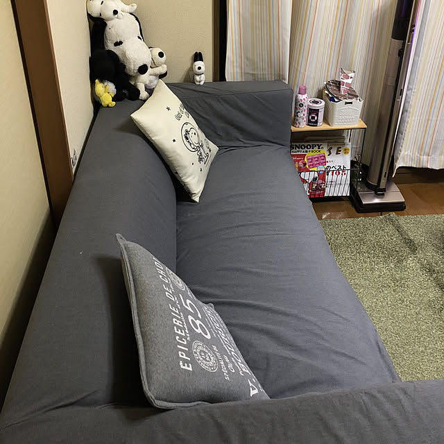 trs623さんの実例写真