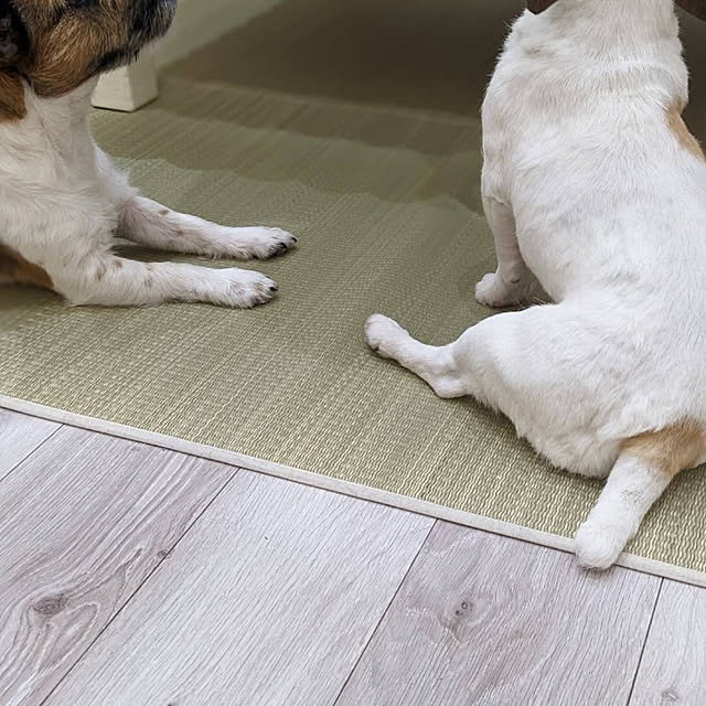mio_ibu_1106さんの実例写真