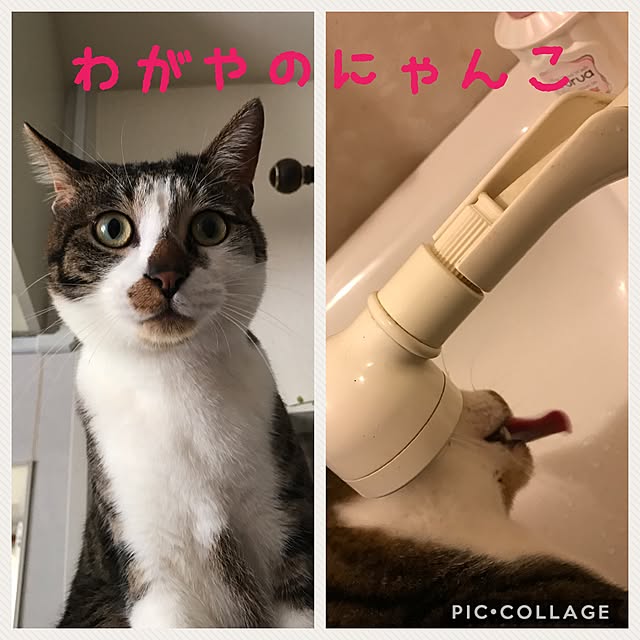 lateさんの実例写真