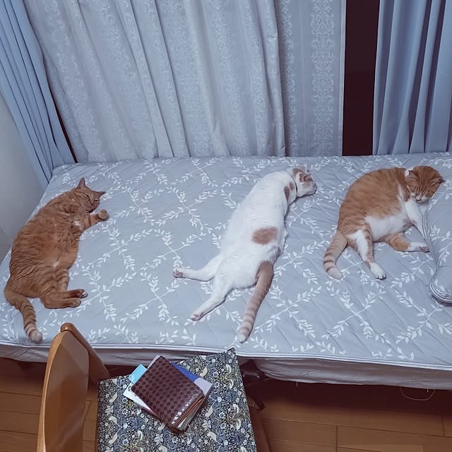 NOAHさんの部屋