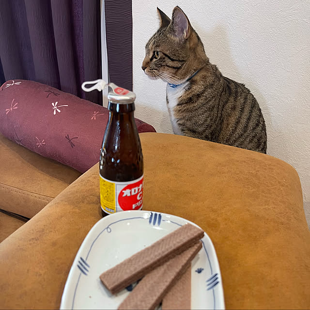 manekinekoさんの実例写真