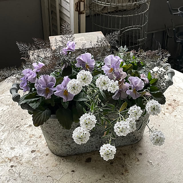 mamisazさんの実例写真