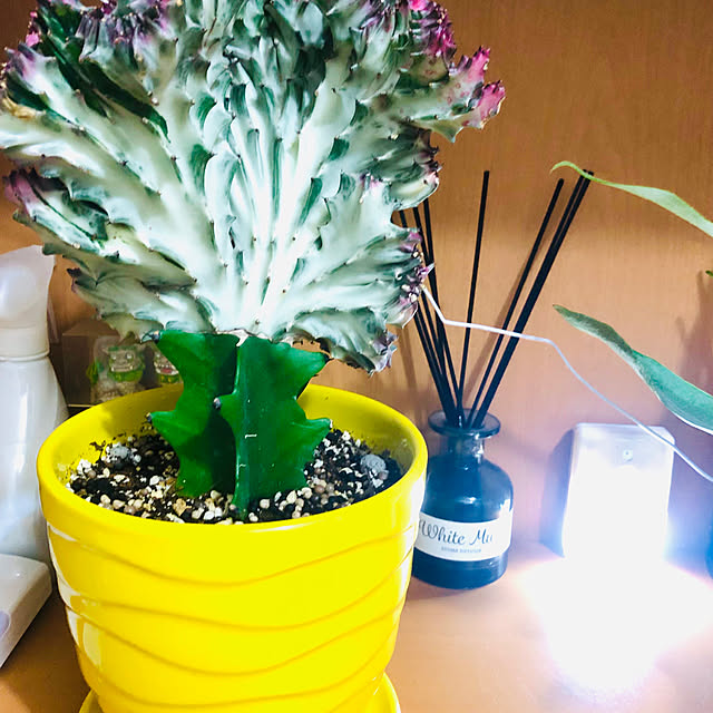 hanachanさんの部屋