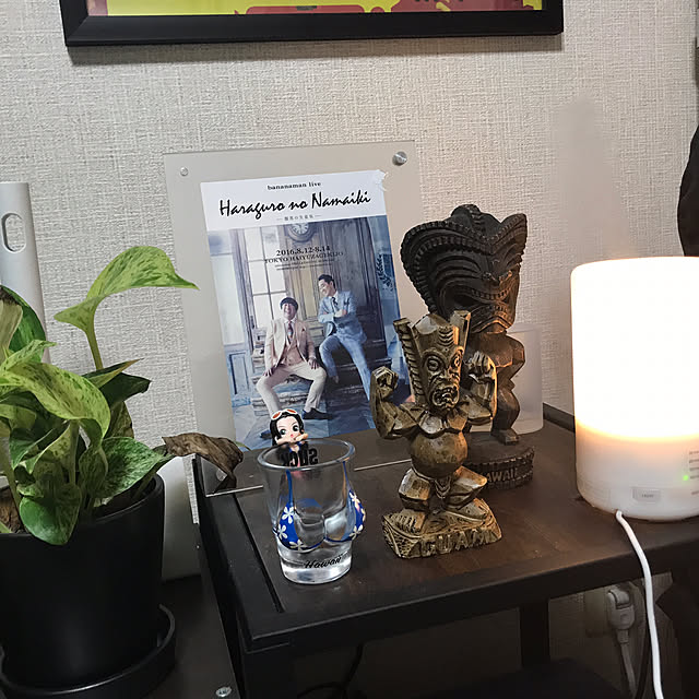 sotaさんの実例写真