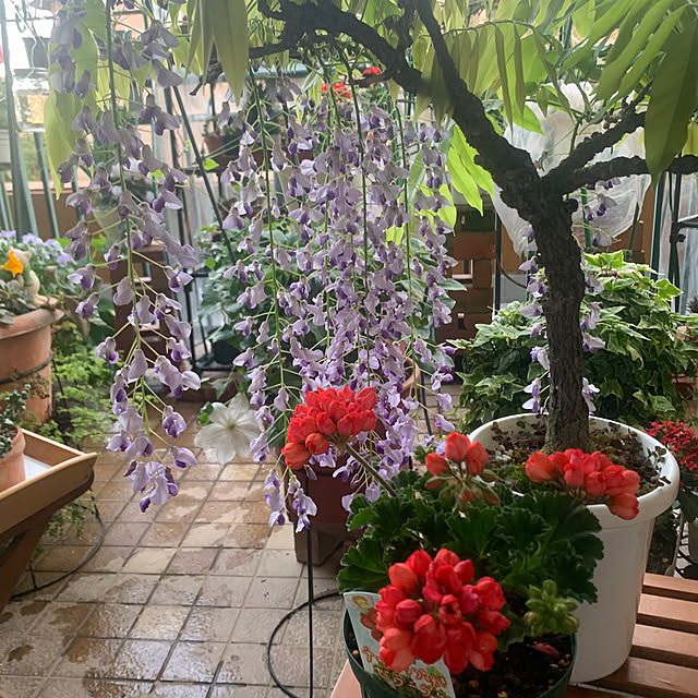 Aqettyさんの部屋