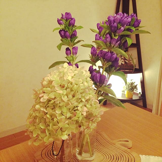Yukiさんの実例写真