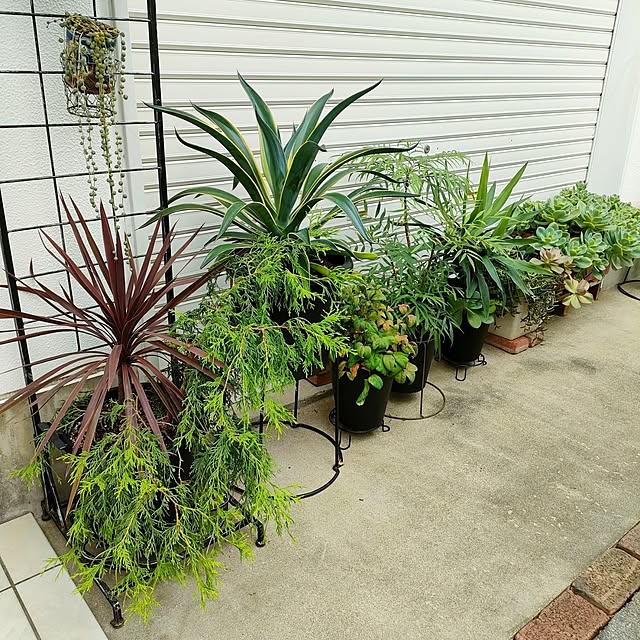VERANDARJUNさんの実例写真