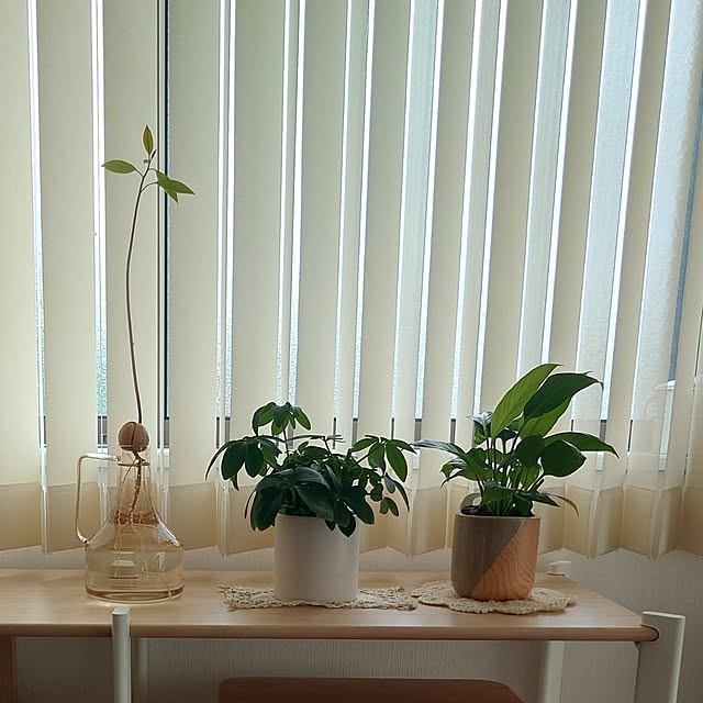 mee.さんの部屋