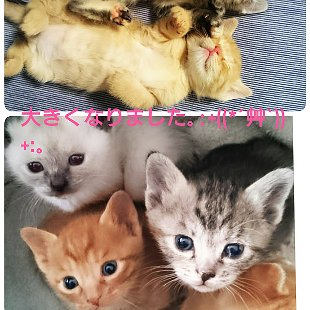 MIHさんの実例写真