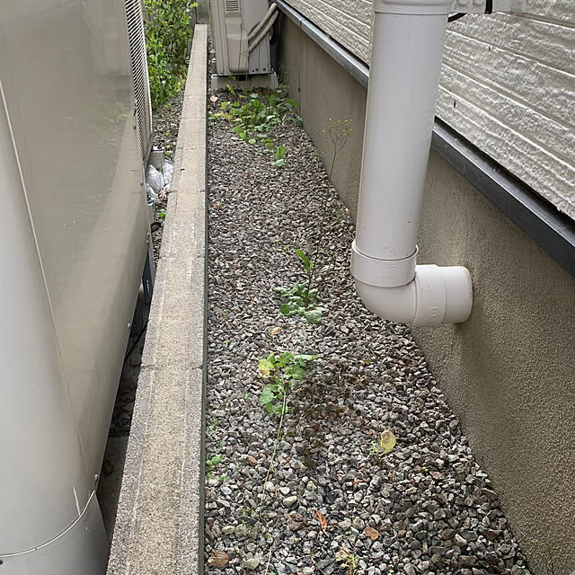 Ayaさんの部屋
