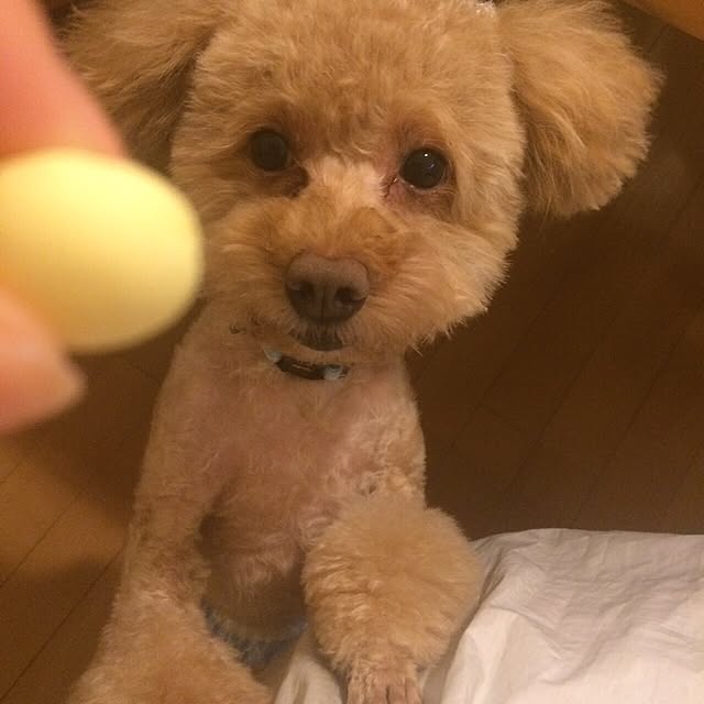 mintさんの実例写真