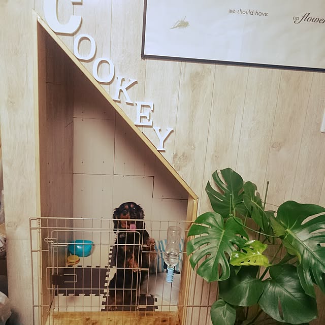 hanakoさんの実例写真
