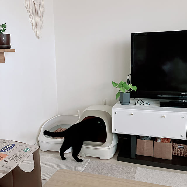 nekomiさんの部屋