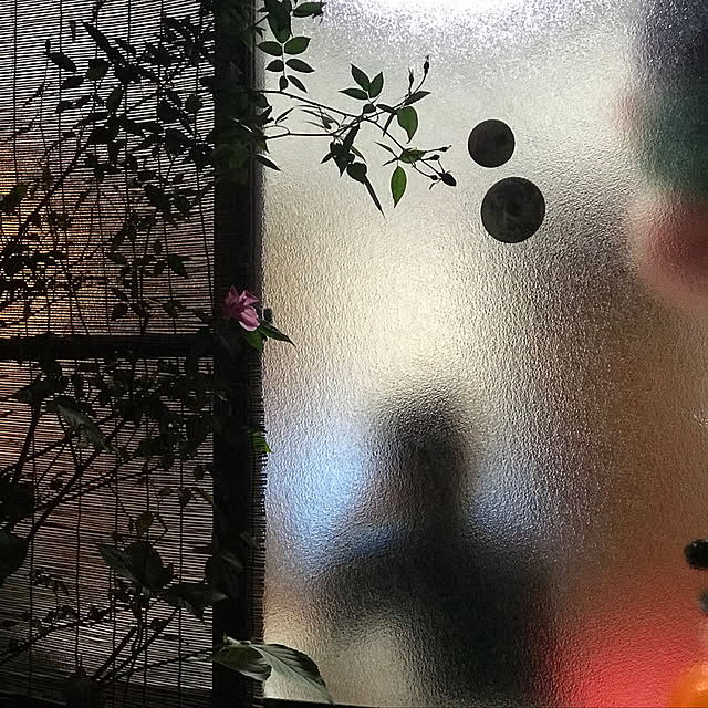 bsb_chenさんの実例写真