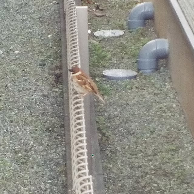 tomoさんの部屋