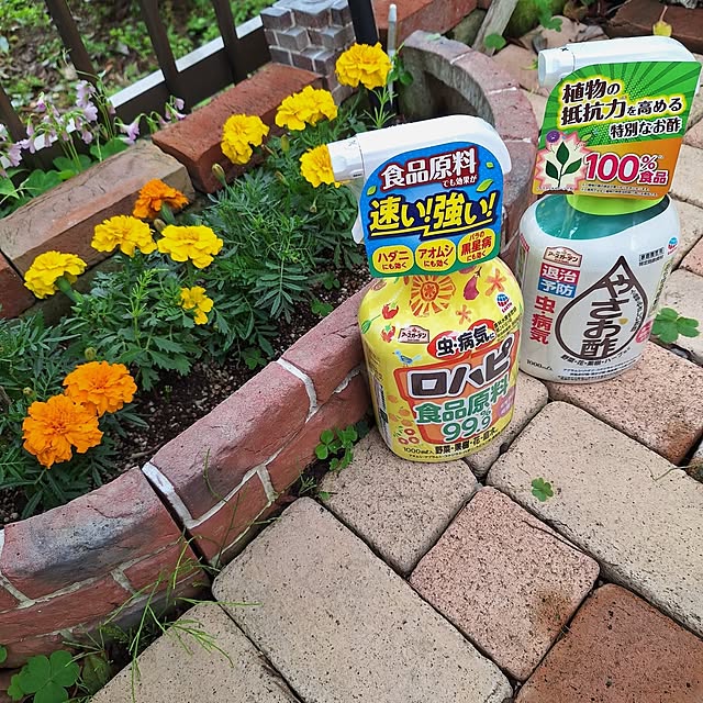 Blancheさんの部屋