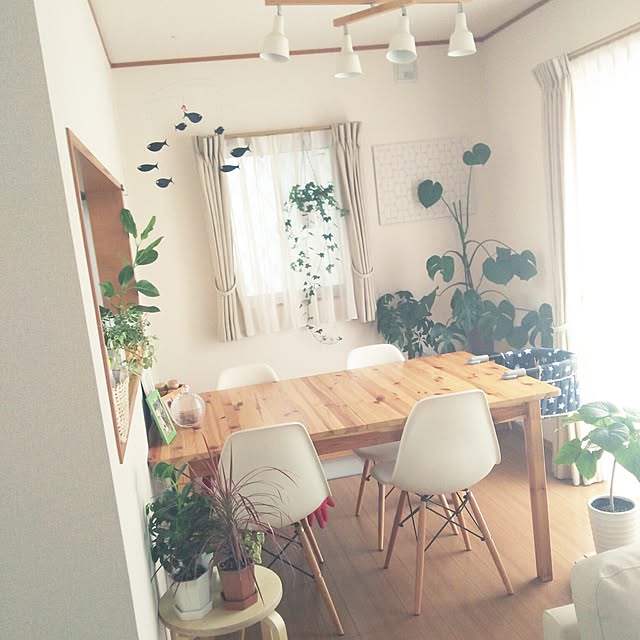 miruban1010さんの実例写真