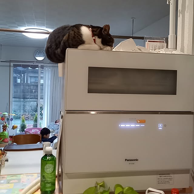 civicglさんの部屋