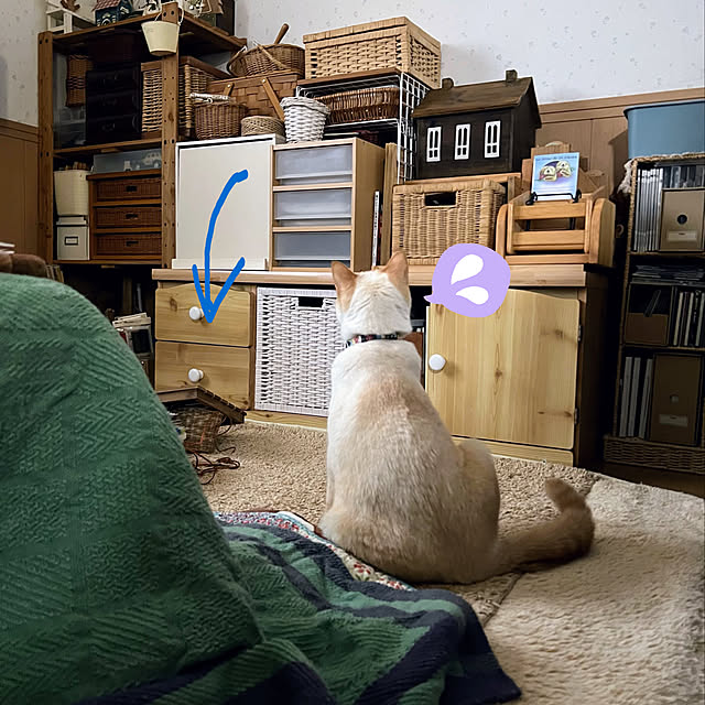 mohhaさんの実例写真