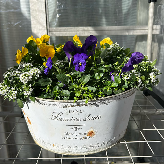 fumikoiさんの部屋