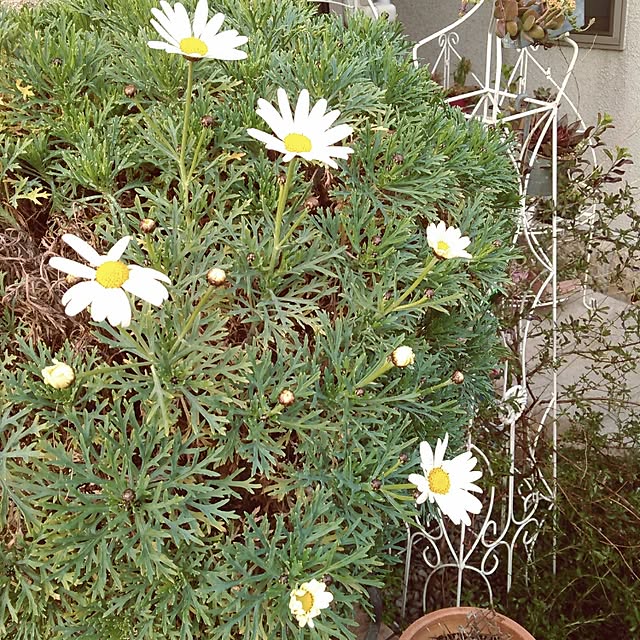 akr29さんの実例写真