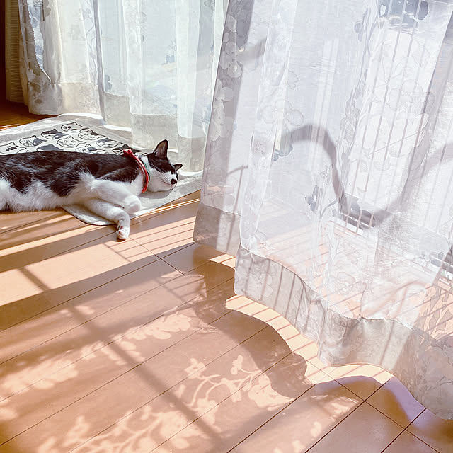 moolさんの実例写真