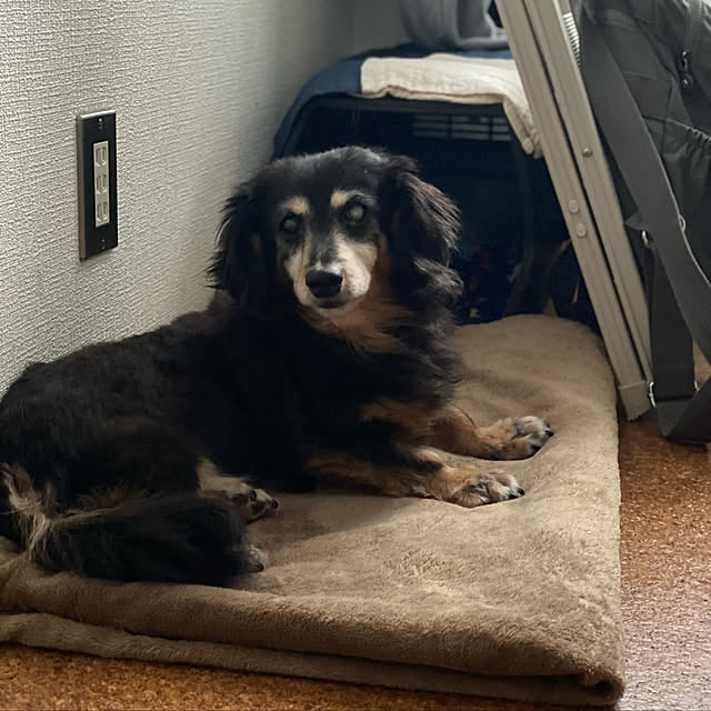 ohanaさんの実例写真