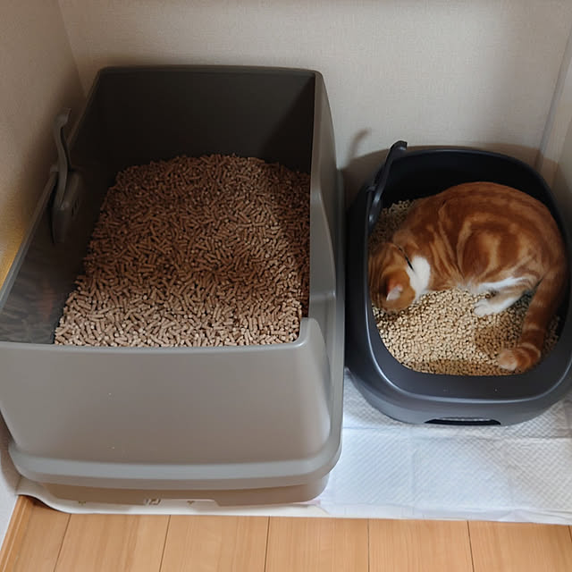 noguriさんの実例写真